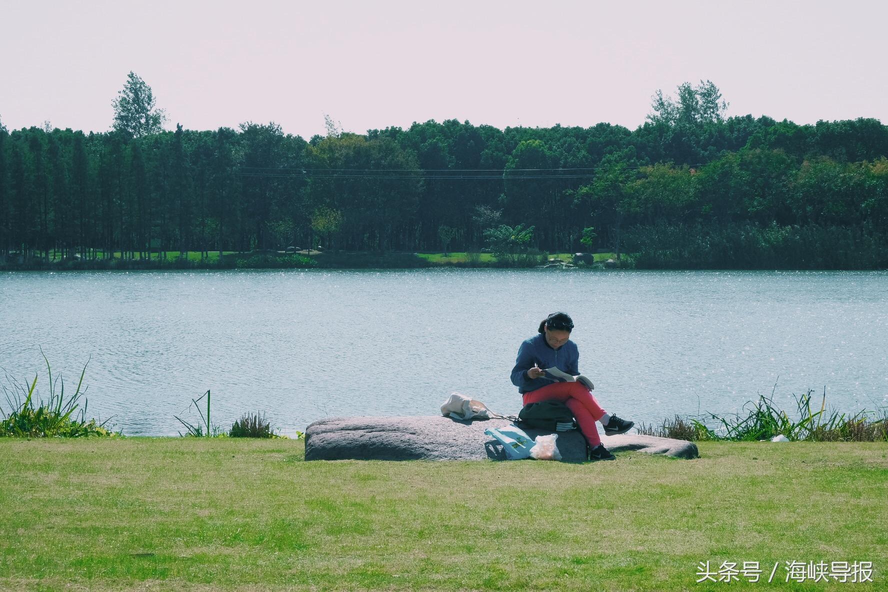 大隐隐于市!这座生态园让你感受江南水乡的农家之美