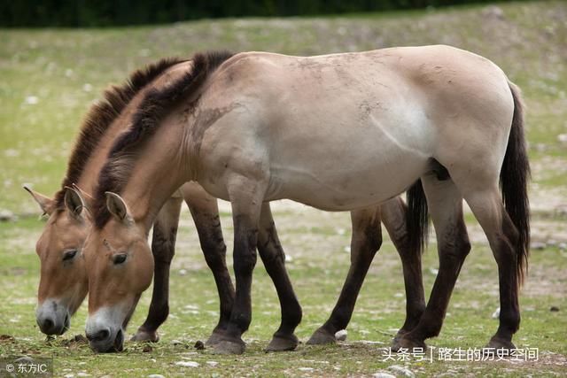这里曾是汉军军需仓库，供给玉门关和阳关，今“守军”变成护林员