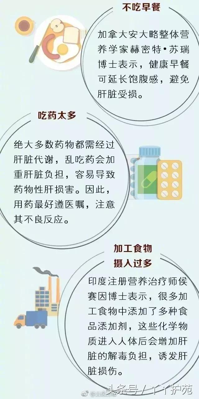 养肝等于养命肝净人美,养肝等于养命保护你的肝脏