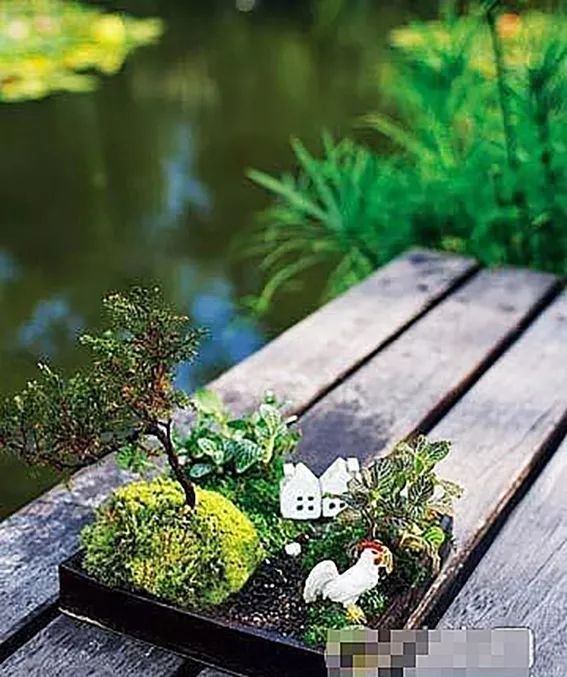 盆景十二技法图片讲解榕树,盆景十二技一法口诀