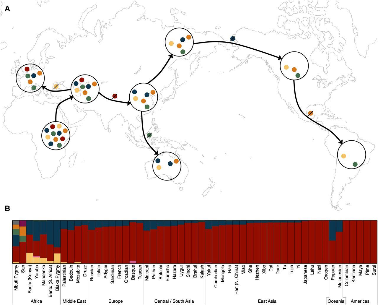 基因科普讲座,生命科学之基因技术