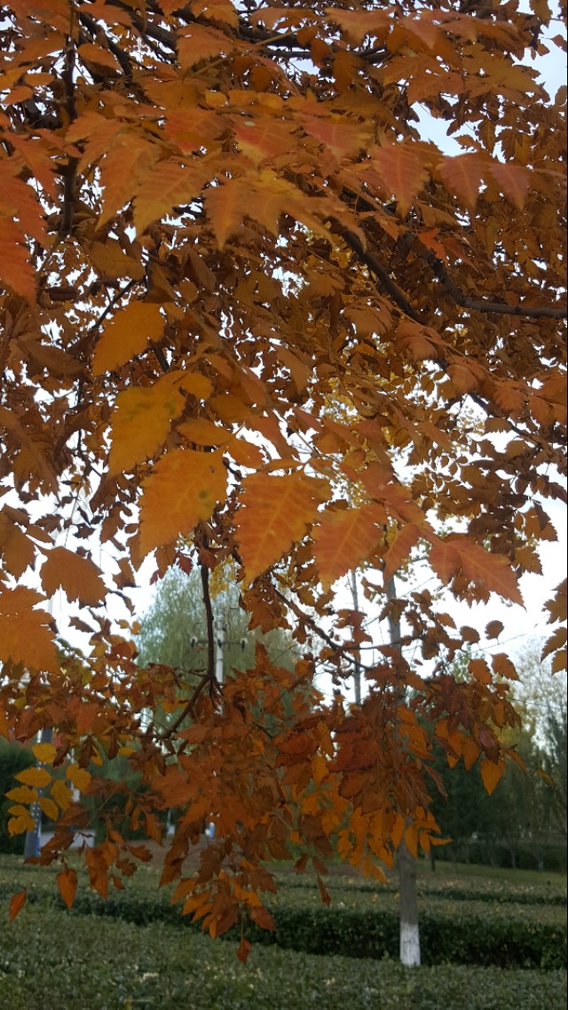 华为mate20pro现在还能买吗,华为mate20pro还可以入手吗