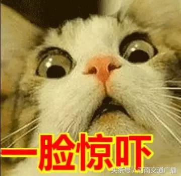 ugg被爆出惊天丑闻,ugg事件最新结果