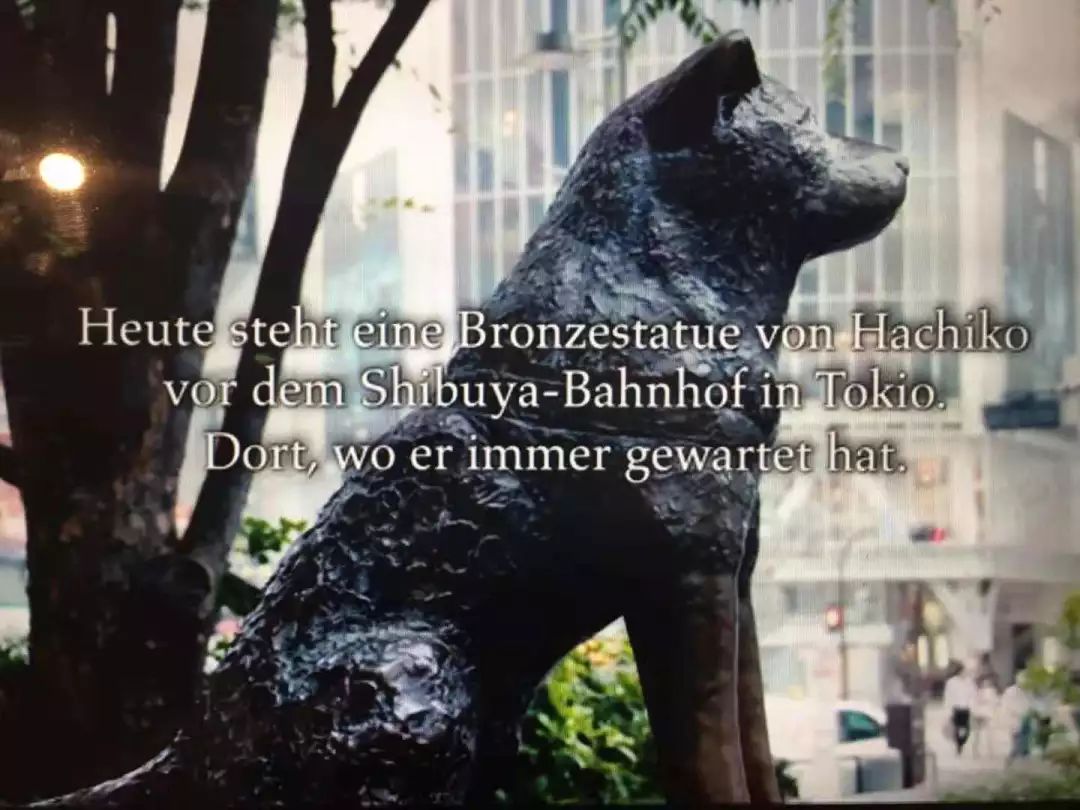 最好的爱情是一起走向更好的未来,最好的爱情从来不是什么势均力敌