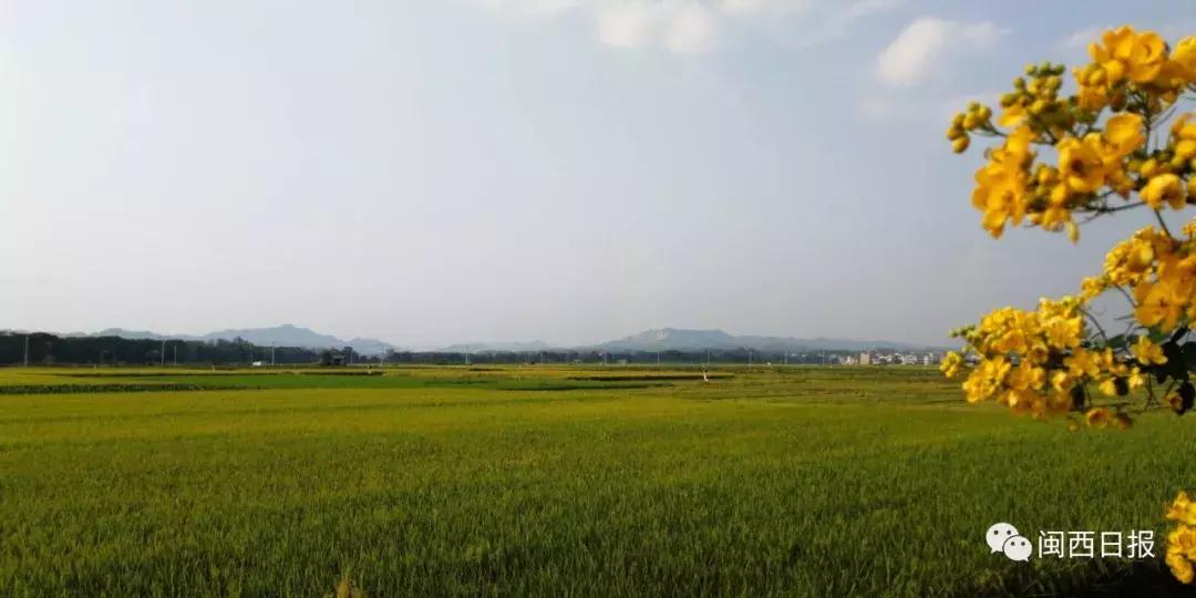 生态长汀,生态福建长汀