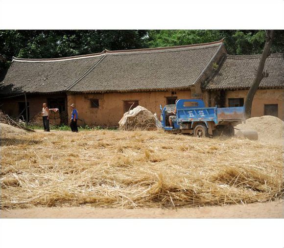 阿呆图片动图,阿呆高清图片图文