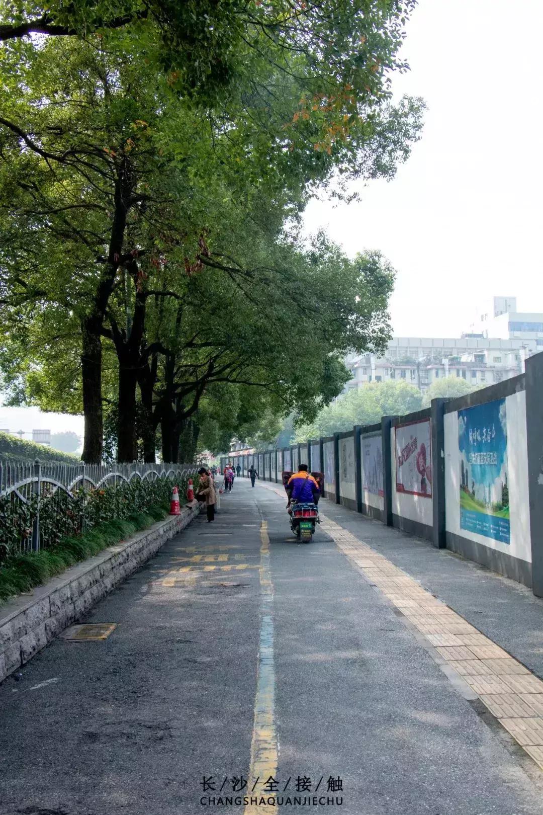 有一种生活叫桐乡,有一种生活叫嘉兴