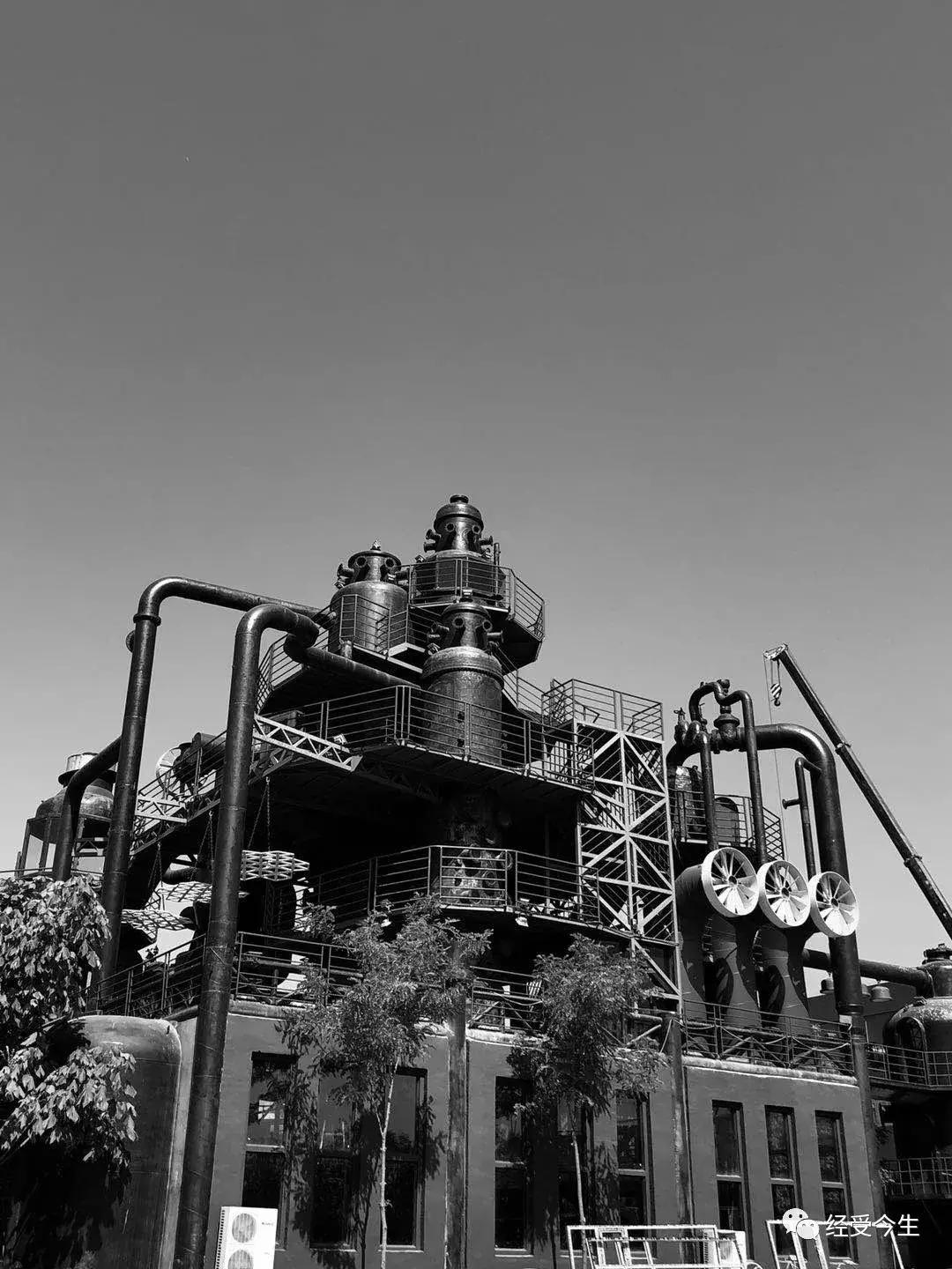 经受今生｜李勇：旷野之火