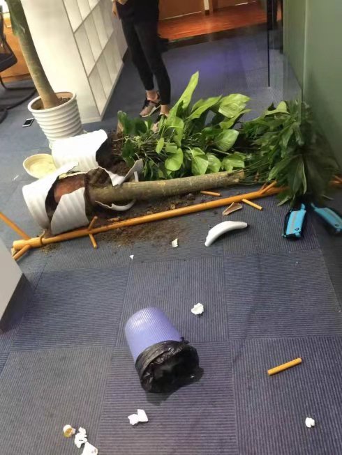 郭宇航点融网创始人,点融网郭宇航离职原因