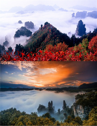 张家界旅游攻略秋天美景,张家界秋天旅游攻略图