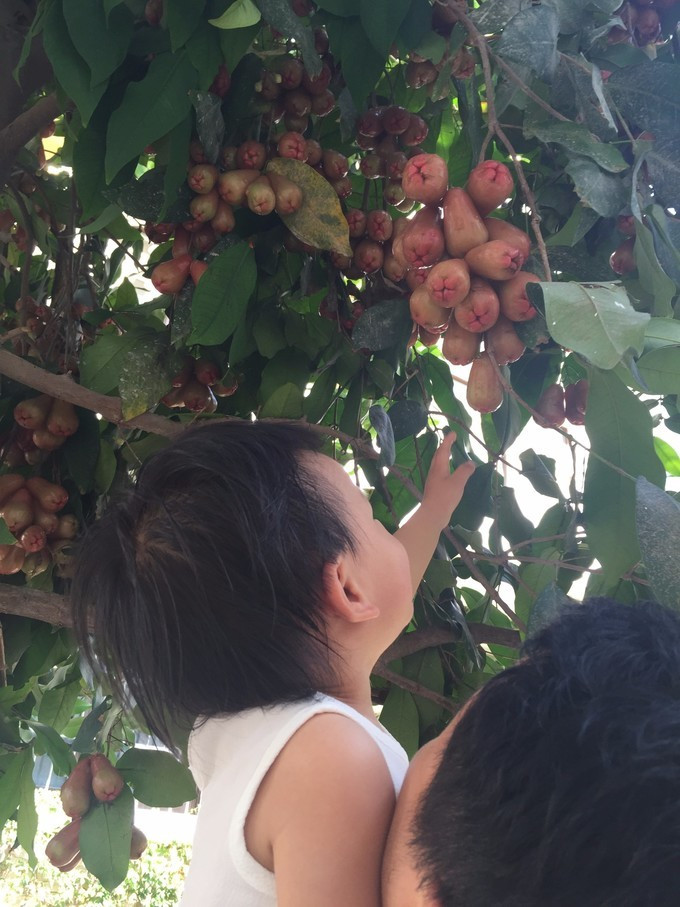 美丽的三亚蓝天白云,三亚蓝天白云美景