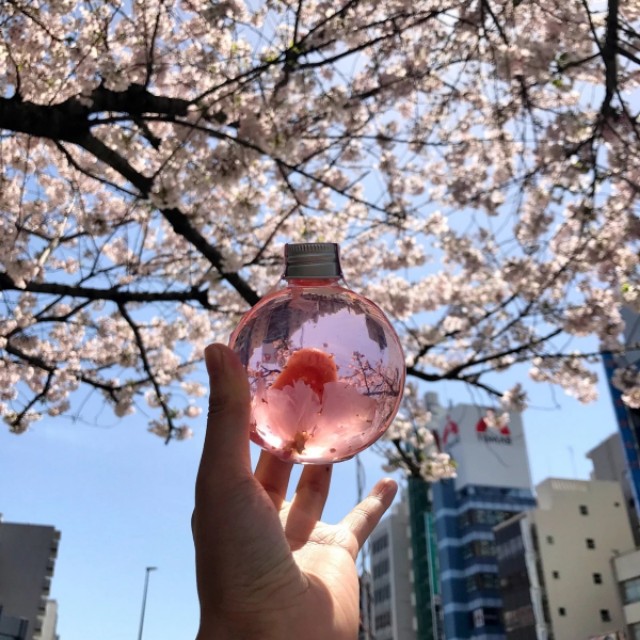 我与酒的故事文章,我与酒的故事全集