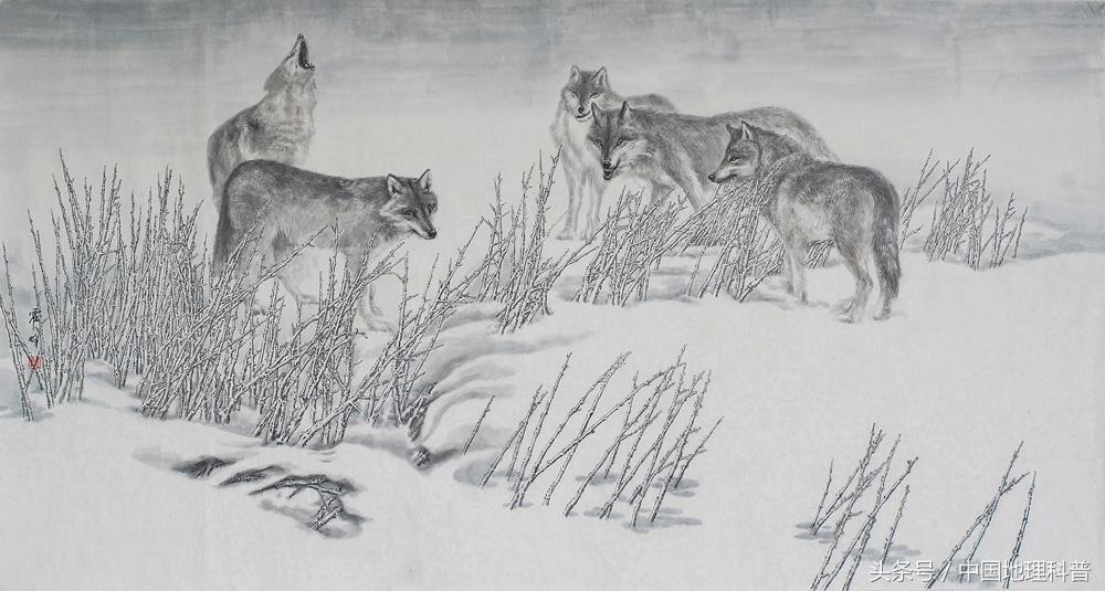 地理航拍中国黑龙江,黑龙江自然地理环境特征