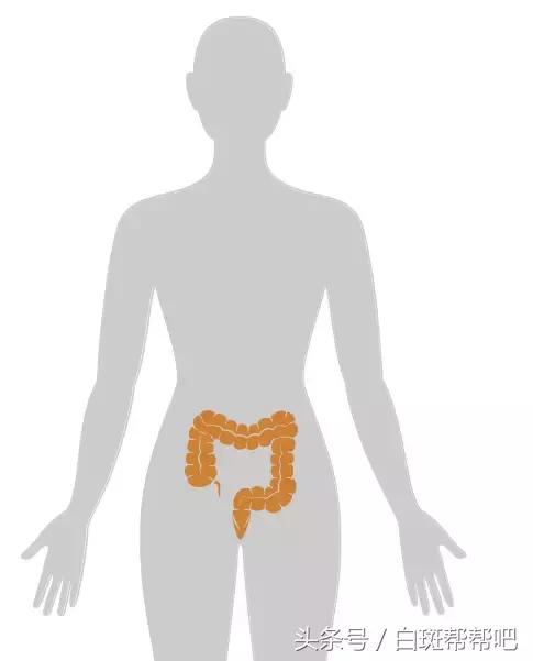 李咏是因为癌症死亡的吗,李咏得的啥癌症为什么葬在美国