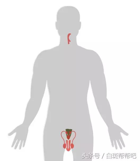 李咏是因为癌症死亡的吗,李咏得的啥癌症为什么葬在美国