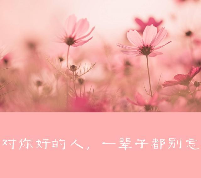 走对路做对事的句子,走对路做对事