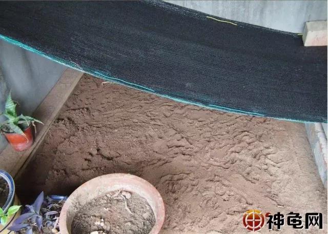 土壤细菌用什么药彻底消除,如何去除土壤中的有害细菌