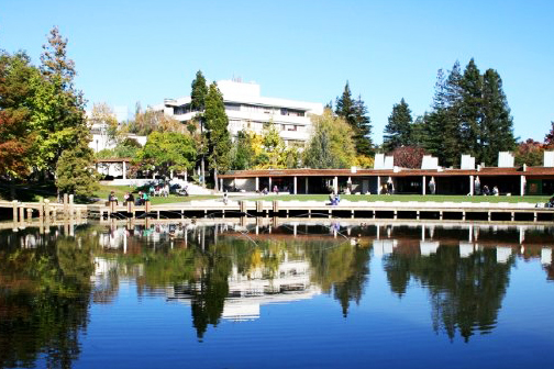 去怀卡托大学就读是怎样一种体验,怀卡托大学读研难吗