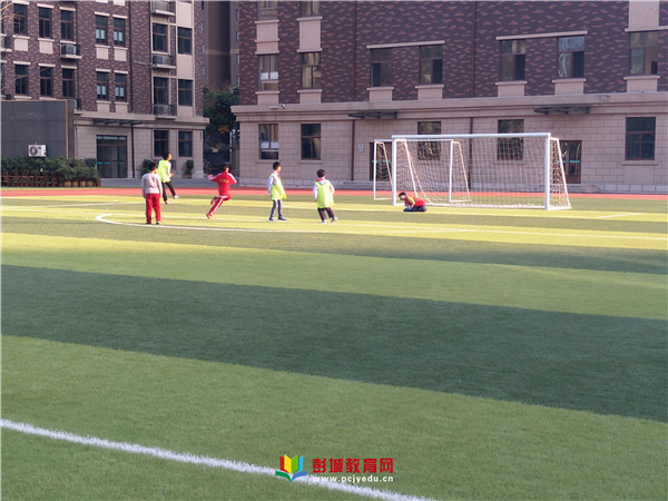 龙市小学vs联丰小学足球比赛,桃花园小学vs中尧路小学足球比赛