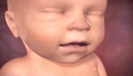 22周胎儿在肚子里的视频,22周胎儿在腹中真实照片