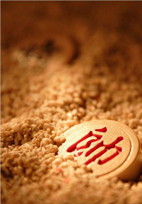 如何快速提高象棋下棋技能,初学象棋怎么快速提高棋力