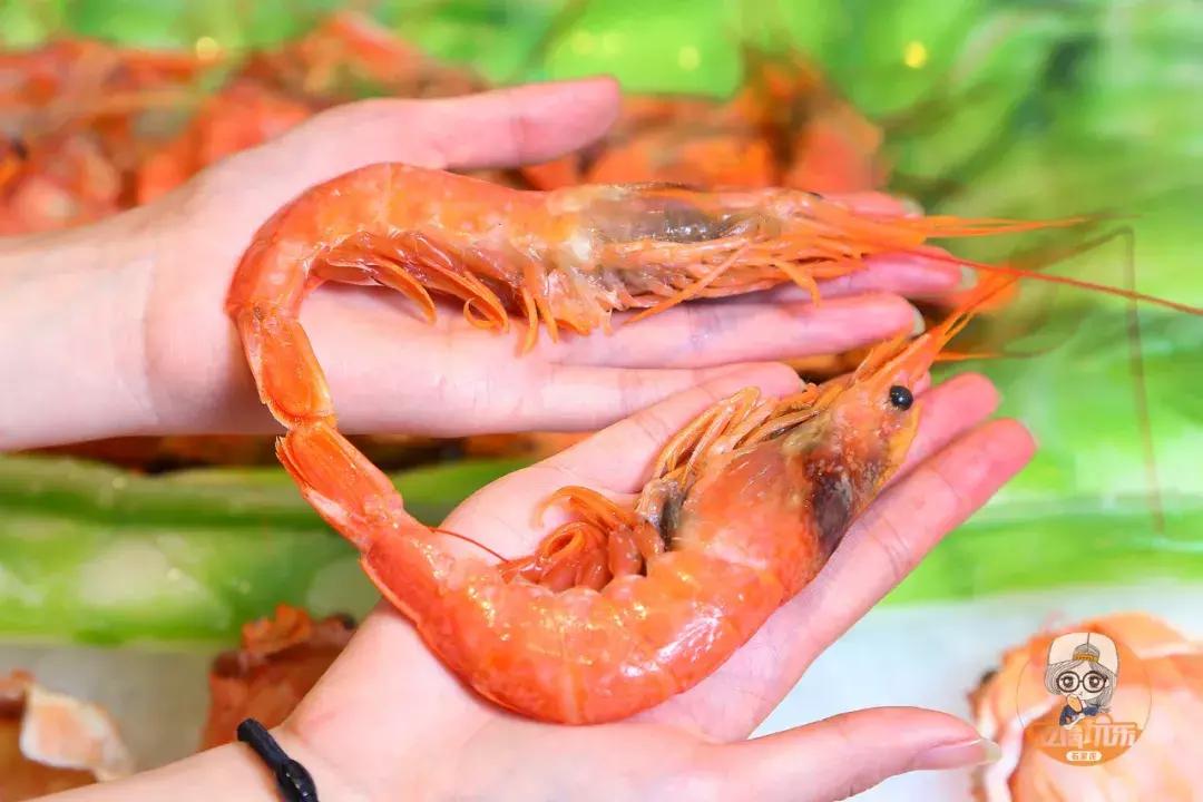 石家庄好吃的日式铁板烧,石家庄好吃的特色铁板烧