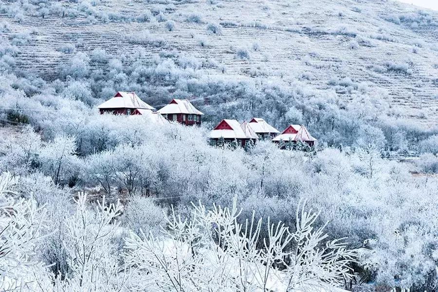 重庆冬天看雪景点,重庆最近看雪景的十大绝佳地点