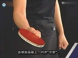 乒乓球的基本知识与打法视频,乒乓球入门理论知识