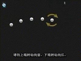 乒乓球基础知识学习,乒乓球新手必须掌握的几种旋转