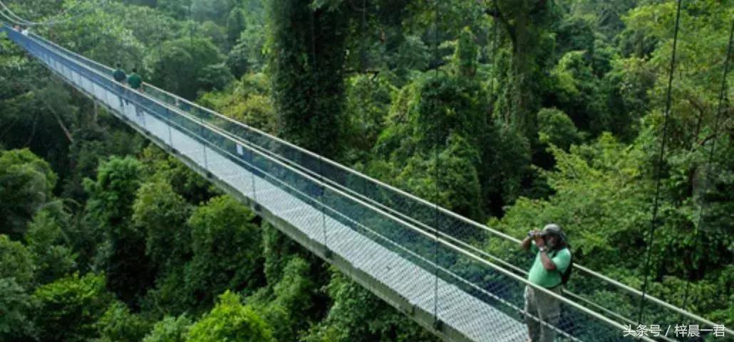 浦东与新加坡人口密度,新加坡面积与人口密度