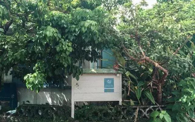 日本冲绳旅游攻略路线,日本冲绳邮轮旅游攻略视频