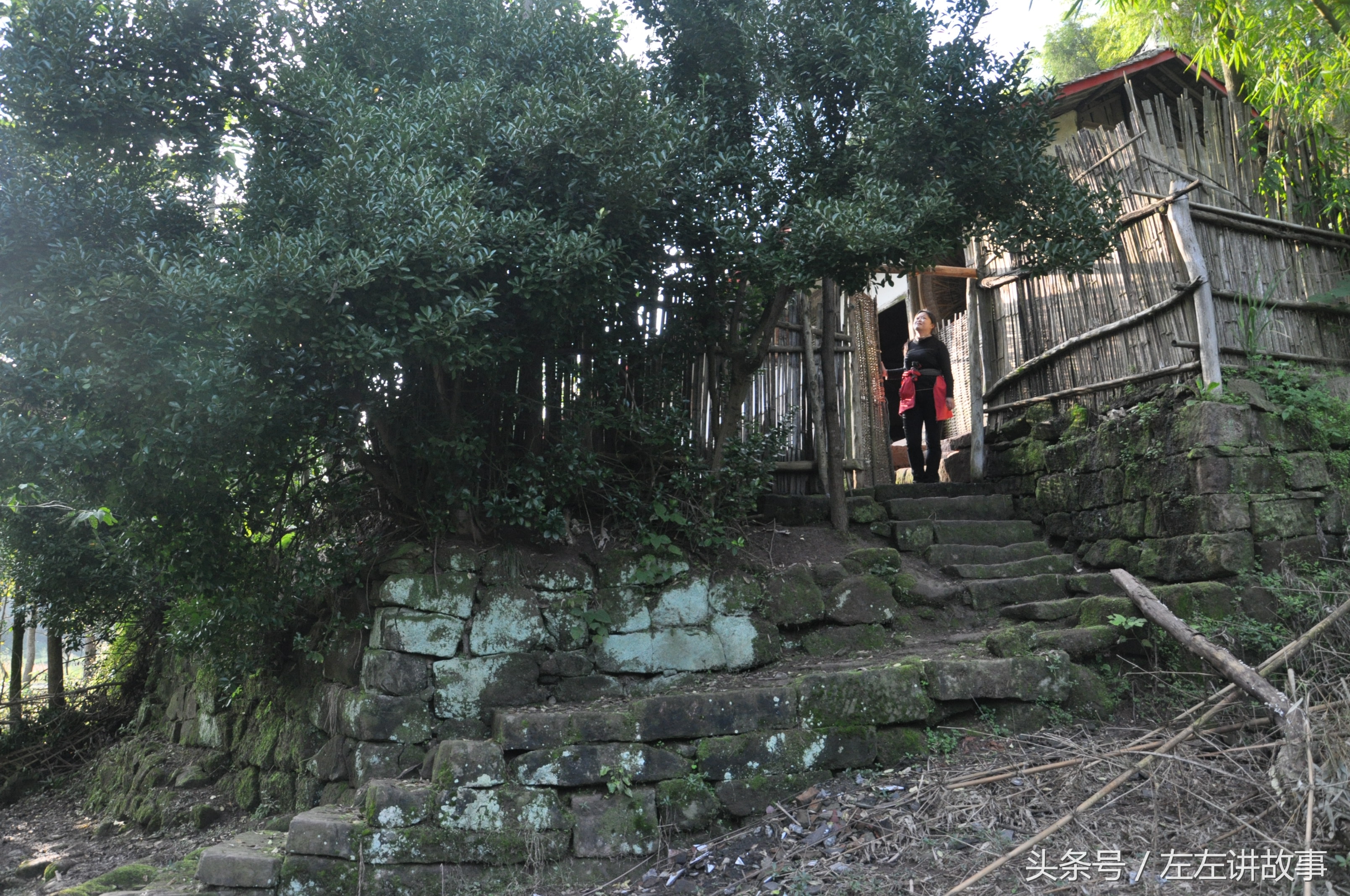 四川岳池有哪些景点,四川岳池最繁华的小镇