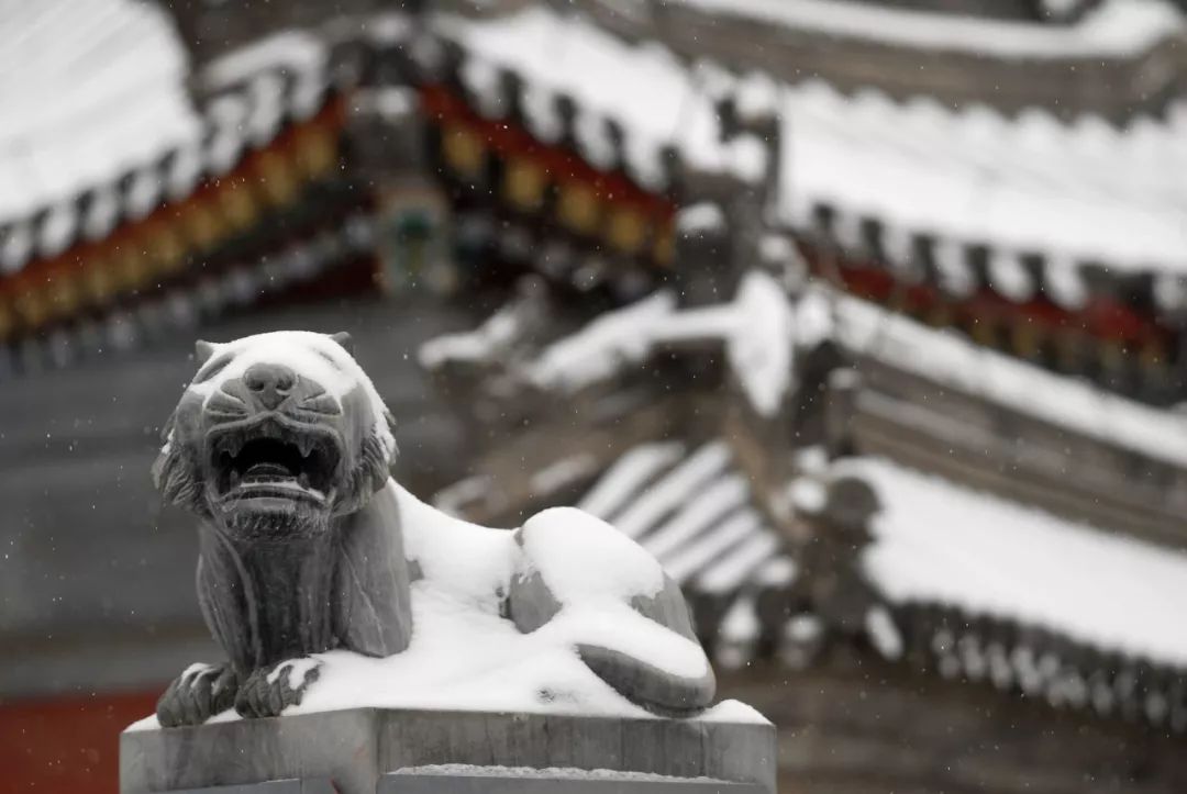 刚刚发布，重磅消息！大快人心！