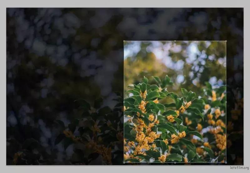 ps各种功能菜单和快捷键大全,ps常用快捷键大全帮助快速学成