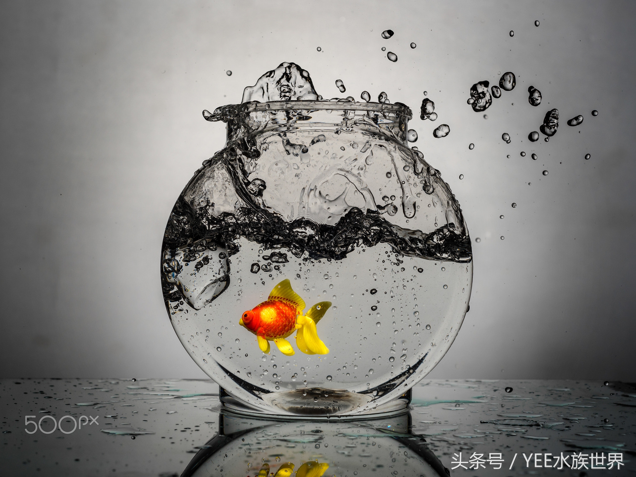 硝化系统崩溃如何正确换水,鱼缸硝化系统崩溃了怎么快速恢复