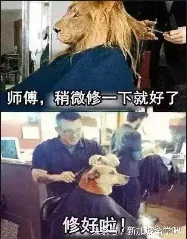 留学生有什么痛苦,留学生在国外的痛