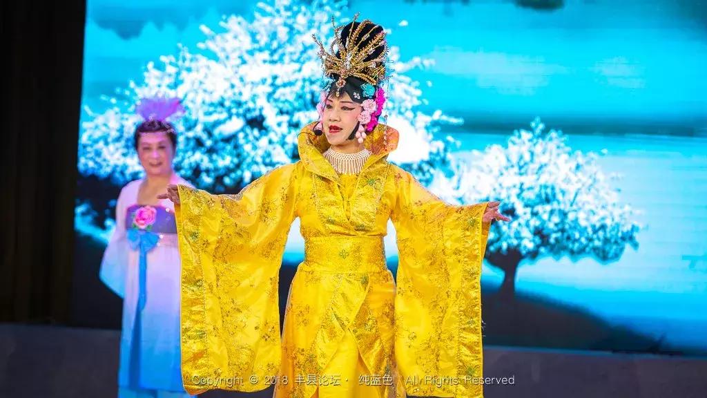 知青回沙河完整视频,北京沙河知青