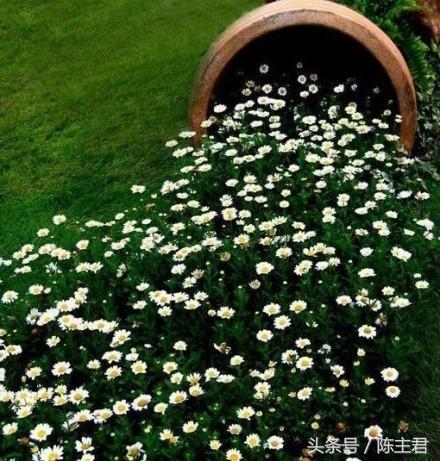 70张让人大开眼界的照片,50张让人惊艳的照片