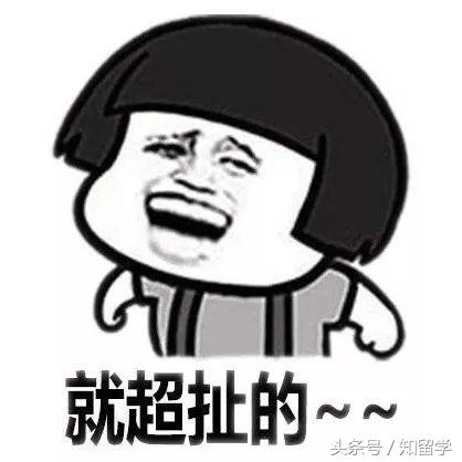 运动会高级创意,最新运动会创意展示