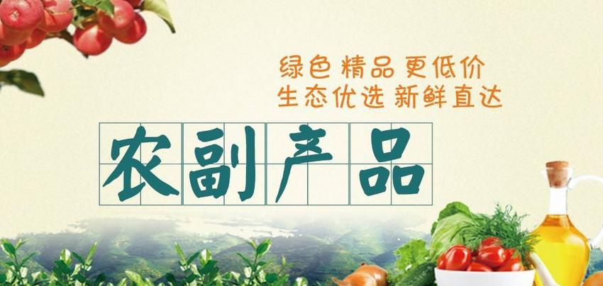 推荐低成本创业项目的理由,适合低成本创业的项目
