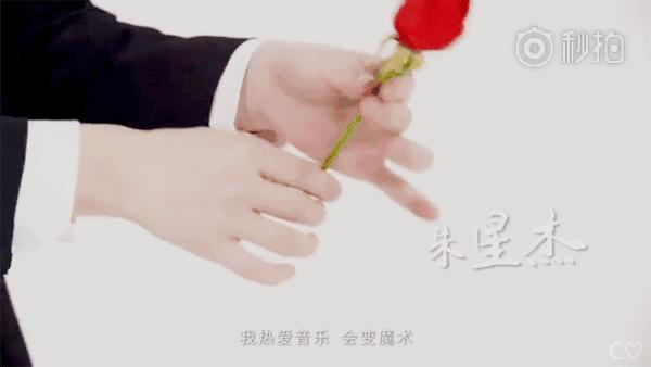 ysl橙红番茄色23号断货王,ysl1966七夕限定断货