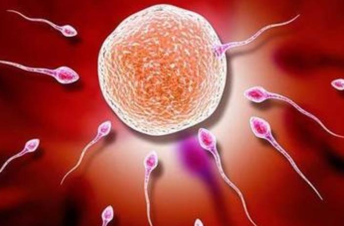 受精卵着床大概需要多久？若你能够受孕成功，身体会有3种感觉