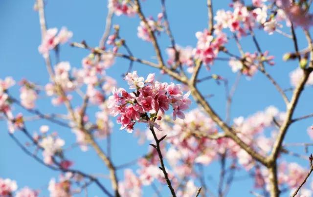 深圳向世界发出邀请,向世界推介深圳