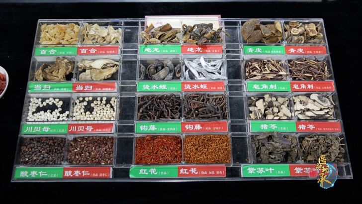 医脉相承是什么意思,医脉相承教授支招