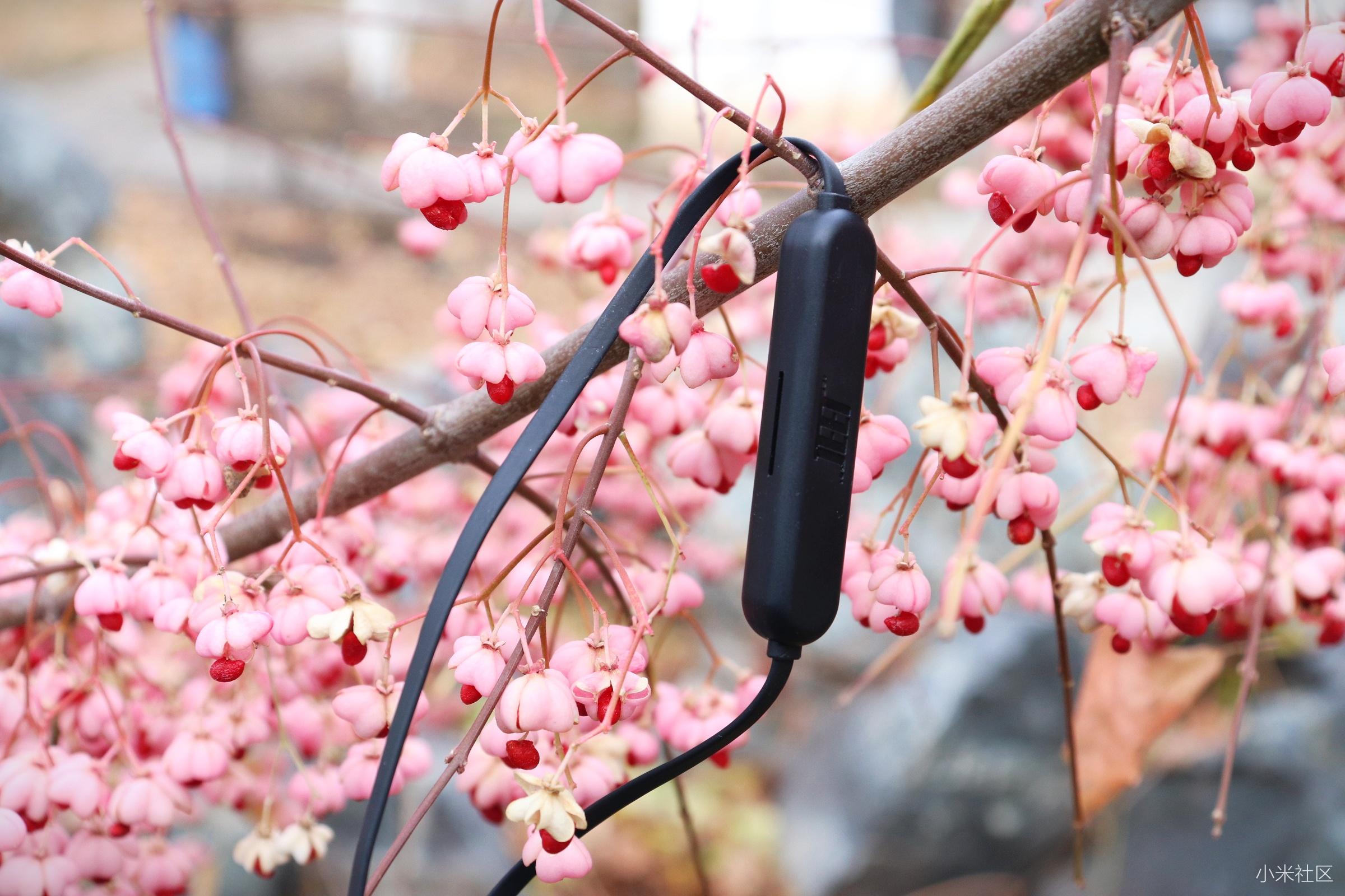 jeet耳机w1说明,蓝牙耳机jeet最便宜是哪款