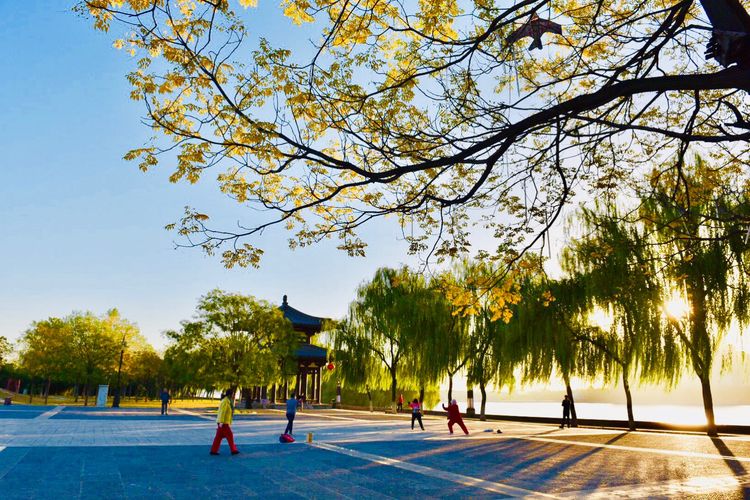 秋到上阳宫，黄叶蓝天高宫阙，皇帝都赞的美景，免费你都没去看？