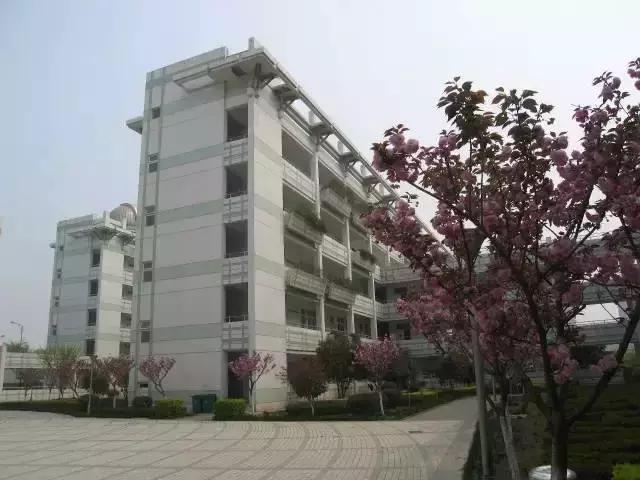 南京市国际贵族学校,南京土豪小学排行榜