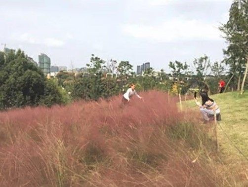 成都人最会耍吗,谁说成都人不会耍