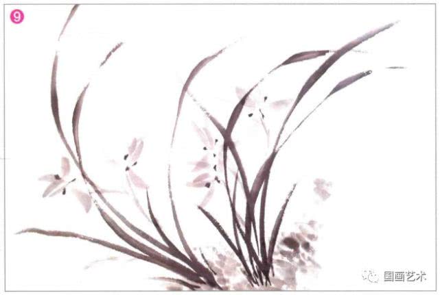 写意兰花的基本画法视频,写意兰花的画法技法视频