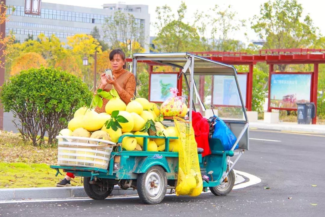娴欐睙鍙板窞瀹濊棌鐢峰,鍙板窞瀹濊棌鐢风敓